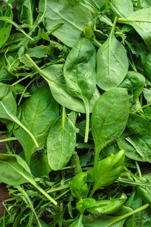 Preview: Healthy Salad, Leaves Mix Salad (Mix Micro Greens, Juicy Snack). Food Background - Copy Space