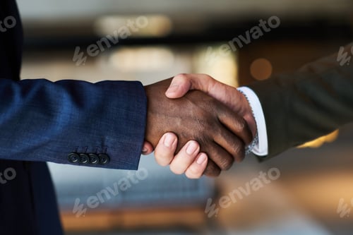 Preview: Close-up of handshake of young intercultural male delegates