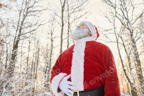 Preview: Santa Claus in Forest Low Angle