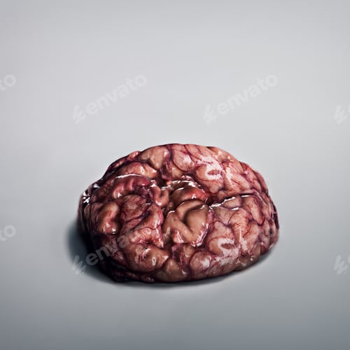 Preview: Brainssssss....A human brain lying on a grey background.