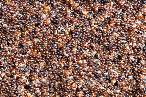 Preview: background - porridge from boiled canihua grains