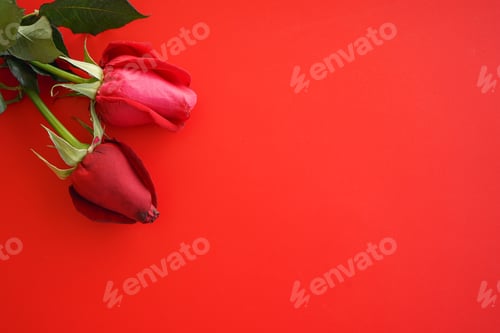 Preview: Red Roses Romantic Gift for Valentine's Day