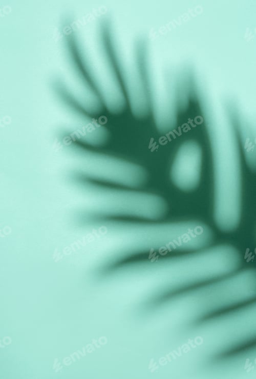 Preview: Shadows from palm leaves