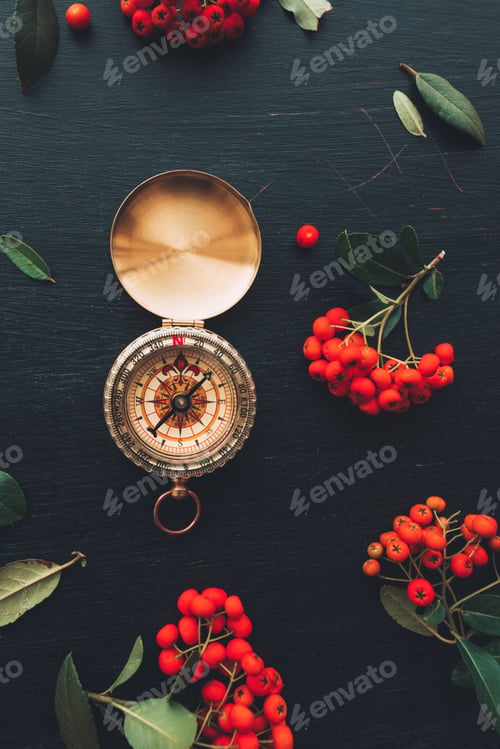 Preview: Vintage navigational compass flat lay