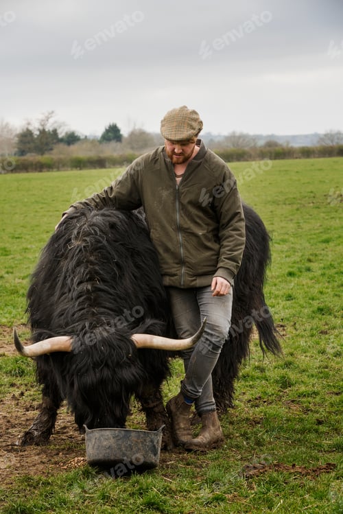 Preview: A farmer with a large black highland cow with horns.