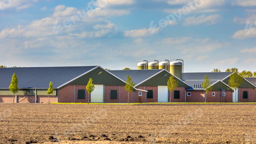 Preview: Rural Buildings Beneath Cloudy Sky in the Netherlands
