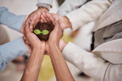 Preview: Plant, soil and hands of business team with sustainability, growth or development. Above group of p