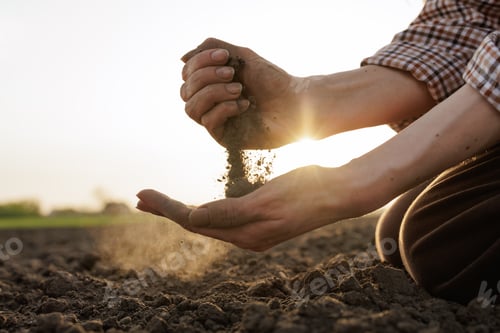 Preview: Farmer's hands holding and examining soil at sunset, sustainable farming concept.