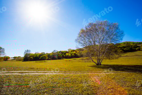 Preview: Grassland scenery