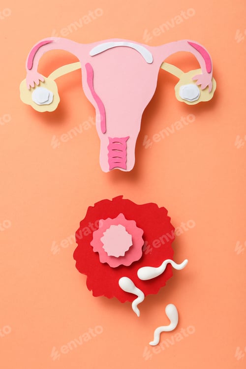 Preview: Paper Cut Out of Uterus and Sperm