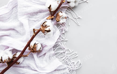 Preview: Сotton flower