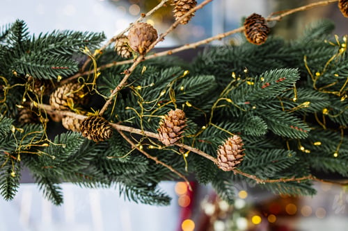 Preview: Beautiful festive decorations with cones on the Christmas tree branch. Beautiful Christmas backgroun