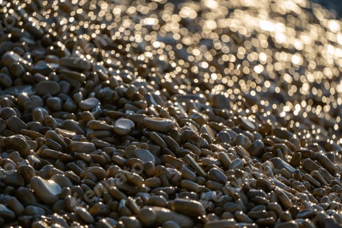 Preview: Gleaming rocks along the beach
