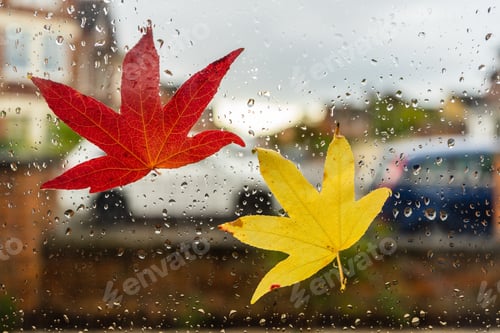 Preview: Window glass covered by raindrops