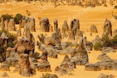 Preview: Limestone formations in the Pinnacles Desert. Western Australia
