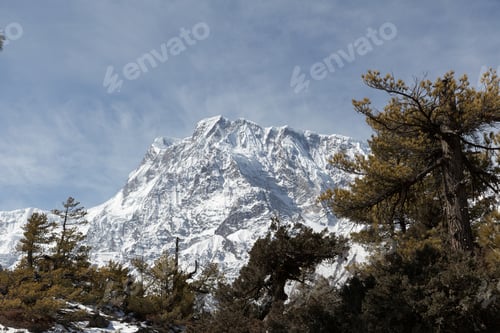 Vorschau: Der majestätische schneebedeckte Berggipfel thront über einem üppigen grünen Pinienwald unter einem strahlend blauen Himmel