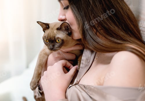 Preview: The owner and her kitten. That special bond between a person and a pet. Beautiful purebred cat.