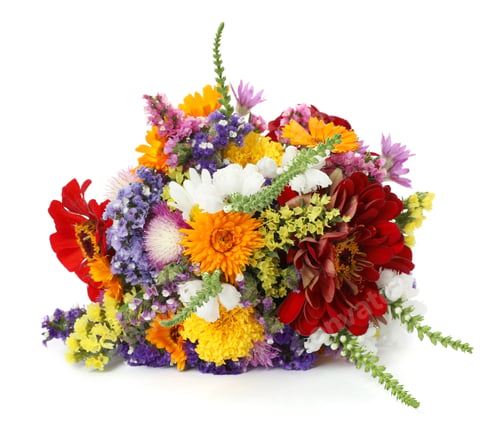 Preview: Bunch of beautiful wild flowers on white background