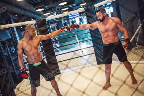 Preview: Wrestlers in the ring