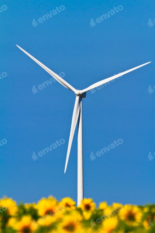 Preview: Windmills and sunflowers