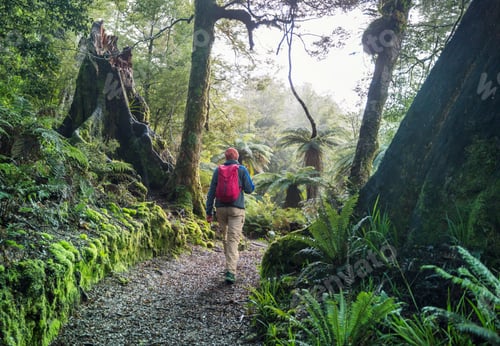 Preview: Tramping