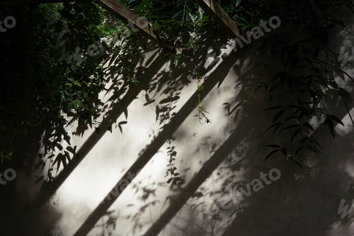 Preview: Summer atmosphere on a terrace in the South of France