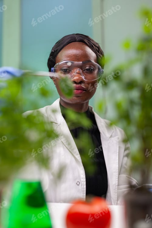 Preview: African researcher taking green leaf sample from petri dish putting under microscope