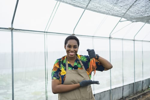 Preview: Female farmer showing natural carrots fresh from the garden