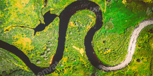 Preview: Aerial View Green Forest Woods And River Landscape In Sunny Spring Summer Day. Top View Of Beautiful