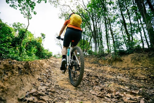 Preview: Woman riding bike on mountain top forest trail