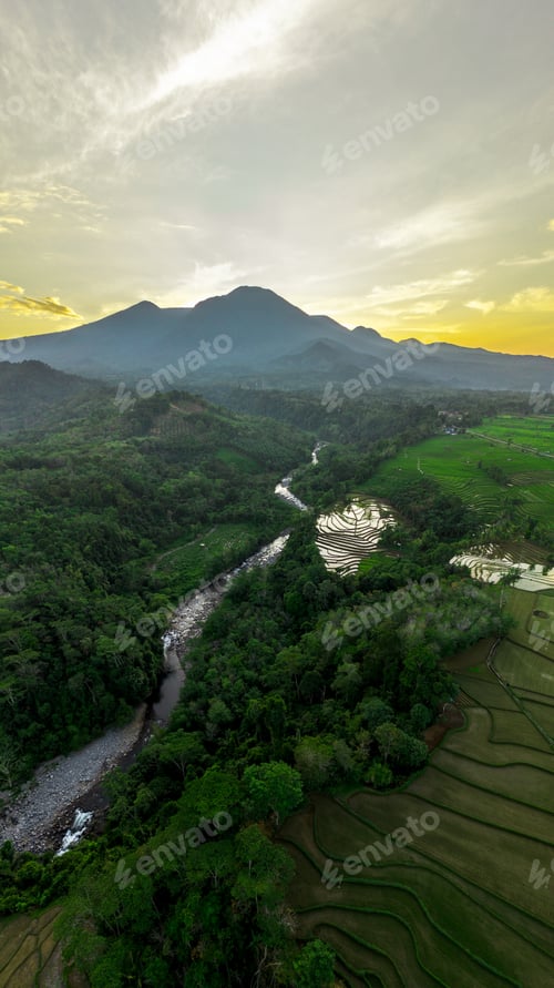 Preview: Beautiful morning view indonesia panorama landscape paddy fields