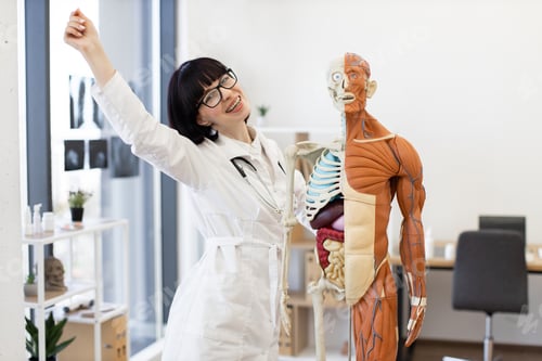 Preview: Smiling female doctor with anatomy model in medical office