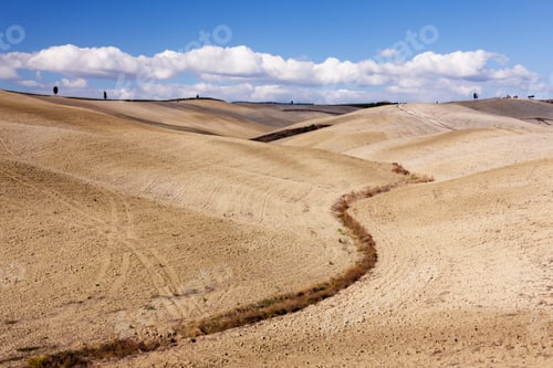 Preview: Desert Landscape