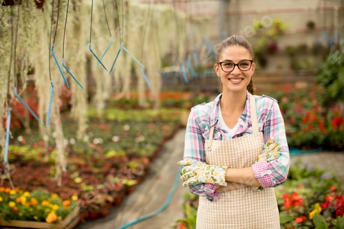 Preview: Young woman working with spring flowers in the greenhouse