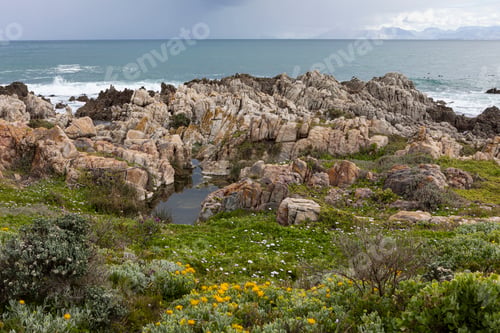 Preview: Rocky jagged coastline, rock pool and view out to the ocean