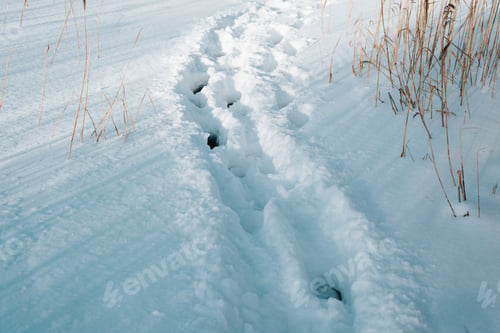 Preview: Deep footprints in snow in nature, winter day outdoors