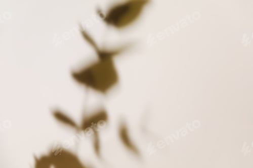 Preview: Eucalyptus branch shadow on pastel neutral beige background. Flat lay.