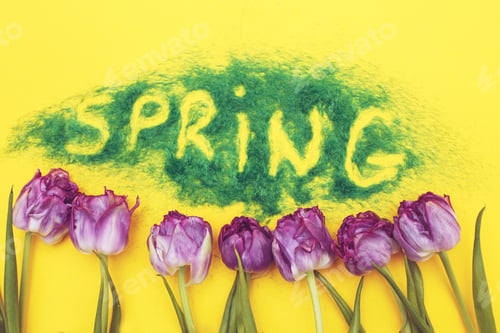Preview: The inscription Spring from decorative green grass on a yellow background