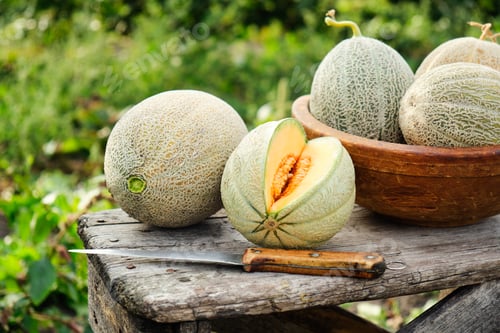 Preview: Raw organic melons