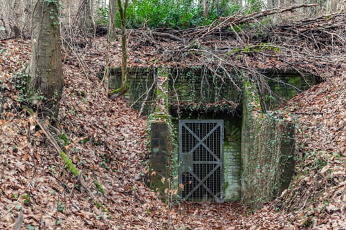 Preview: Second world war old abandoned concrete military bunker shelter hidden in forest woods fallen leaves