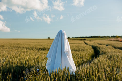 Preview: ghost in a bed sheet on a wheat field
