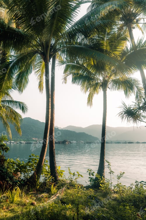 Preview: Scenic road lined with coconut palm trees along the coast. Tropical island pathway in Thailand.