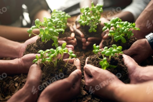 Preview: Cropped shot of a group of people holding plants growing out of soil