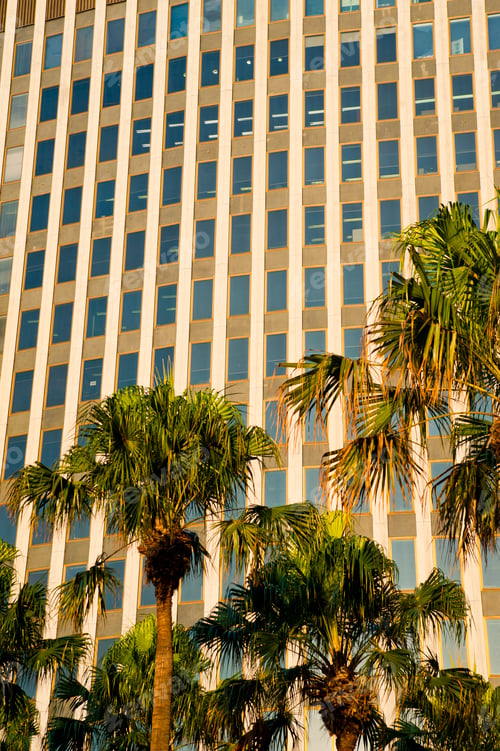 Preview: Close Up Photo of Office Blocks in Circular Quays, Sydney, Australia
