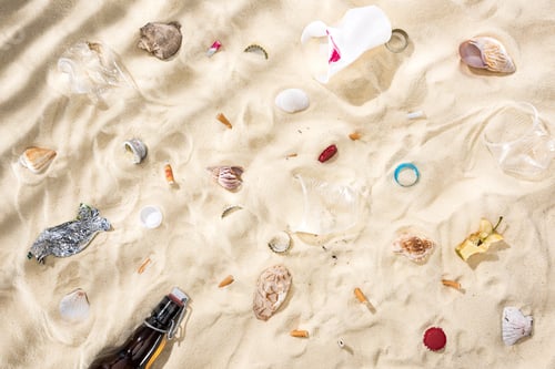 Preview: top view of seashells, scattered cigarette butts, apple core, plastic cups, glass bottle and candy
