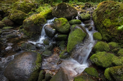 Preview: River stream in the natural canyon during the summer time. Canadian Nature Background