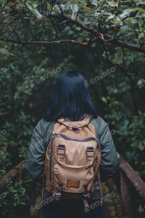 Preview: back of asian woman backpacker in forest.walking on bridge at natural trail in rain forest