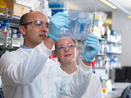 Preview: Scientists viewing a protein gel, Jenner Institute, Oxford University