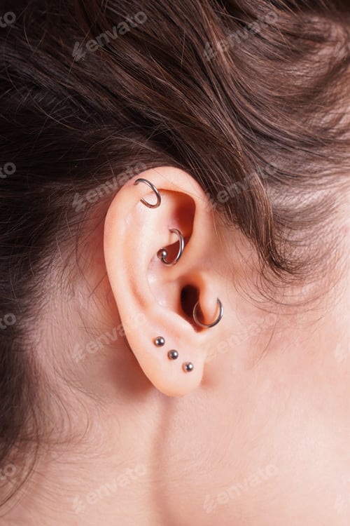 Preview: ear with earrings including helix rook tragus and lobe piercings