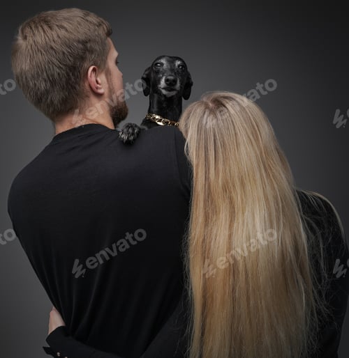 Preview: Adorable black dog and its two owners against dark background